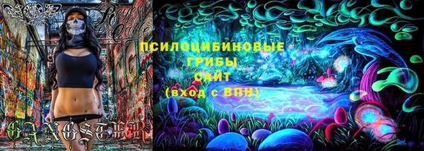 винт Богданович